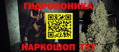 дживик Новозыбков