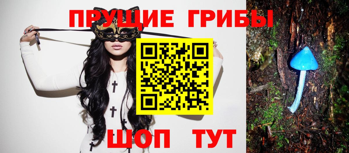 Псилоцибиновые грибы GOLDEN TEACHER Королёв