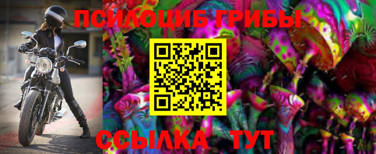 Галлюциногенные грибы Psilocybe  купить   Королёв  Вход с VPN 